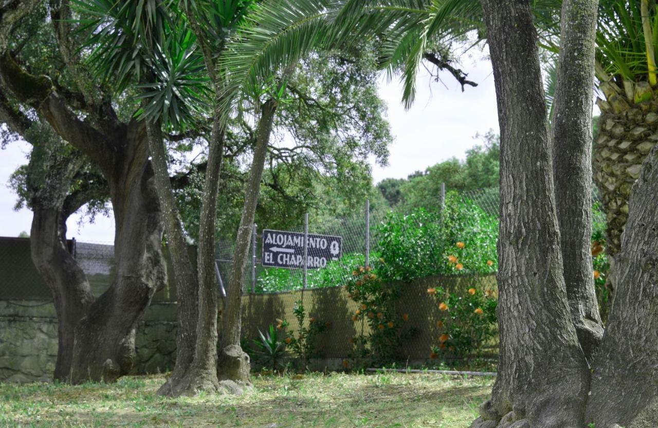 Alojamiento El Chaparro Barbate Junto A La Venta El Loro エクステリア 写真